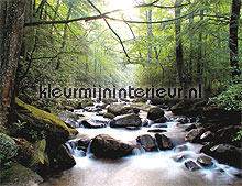 mountain river papier murales Noordwand Evolutions II 1177