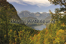 alpsee in allgau papier murales Noordwand Evolutions II 1179