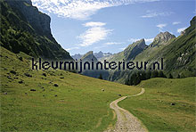switzerland fotomurales Noordwand Evolutions II 1189