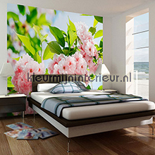 Sakura Blossom fotomurales 00133 Ideal-Decor Poster Ideal Decor