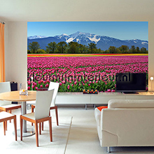 Tulips fotobehang 00137 aanbieding fotobehang Ideal Decor