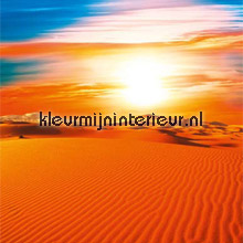 Dune fotobehang AS Creation XXL Wallpaper 0312-2