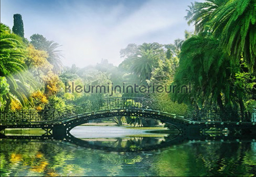 Bridge in the Sunlight fotobehang 00132 Ideal-Decor Poster Ideal Decor