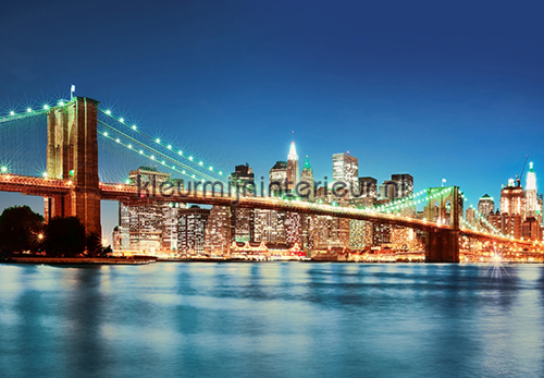 New York East River fotomurali 00961 sale photomurals Ideal Decor