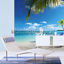 Caribbean Sea fototapeten 00954 fototapeten Top 15 Ideal Decor