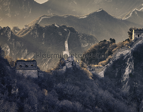 Chinese Wall fotobehang Bossen