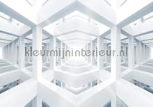 Skeleton construction fototapeten Kleurmijninterieur weltkarten 