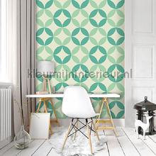 Mint graphic leafs photomural Kleurmijninterieur all-images