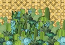 Cactus wereld photomural Kleurmijninterieur Trendy Hip 