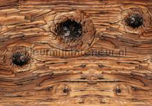 Woodknot fotobehang Kleurmijninterieur hout 