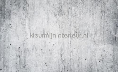 Just concrete photomural Stones - Concrete Kleurmijninterieur