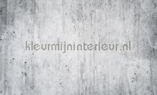 Just concrete photomural Stones - Concrete Kleurmijninterieur