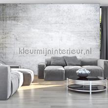 Light cocrete wall fototapeten Kleurmijninterieur weltkarten 