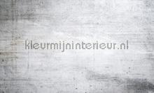 Light cocrete wall fototapeten Kleurmijninterieur weltkarten 