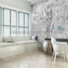 Living concrete fototapeten Kleurmijninterieur weltkarten 