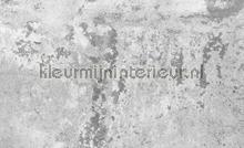 Living concrete fototapeten Kleurmijninterieur weltkarten 