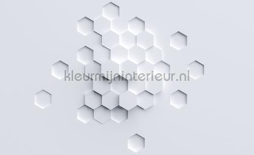 Hexagon forms fotobehang Grafisch - Abstract Kleurmijninterieur