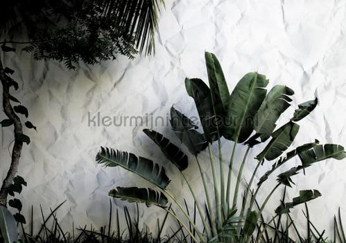 Green plants on light background fototapeten Abstract and Art Kleurmijninterieur