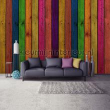 Wood wall in bright colors fototapeten Kleurmijninterieur weltkarten 