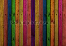 Wood wall in bright colors fotobehang Kleurmijninterieur Modern Abstract 