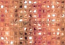 Glass wall fototapet Kleurmijninterieur All-images