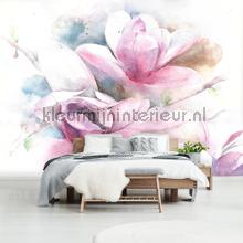 Tulip tree flowers fototapet Kleurmijninterieur All-images
