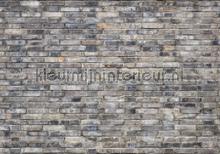 Grey brick wall fotobehang Kleurmijninterieur Modern Abstract 