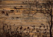 Nature on wooden background photomural Kleurmijninterieur all-images