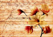 Flowers with wooden background photomural Kleurmijninterieur all-images