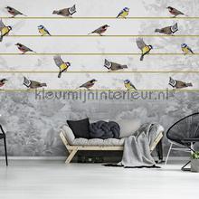Birds in beautiful grey landscape fotomurais Art - Ambiance Kleurmijninterieur