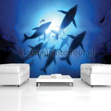 Shadow sharks fotobehang Animals Kleurmijninterieur