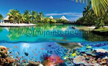 Underneath the caribean waters fototapeten Kleurmijninterieur weltkarten 