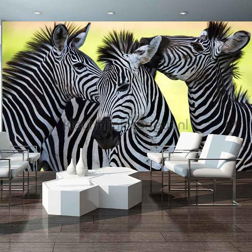 Zebra fototapeten Animals Kleurmijninterieur