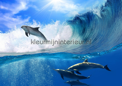 Dolphins photomural animals Kleurmijninterieur