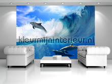 Dolphins photomural animals Kleurmijninterieur