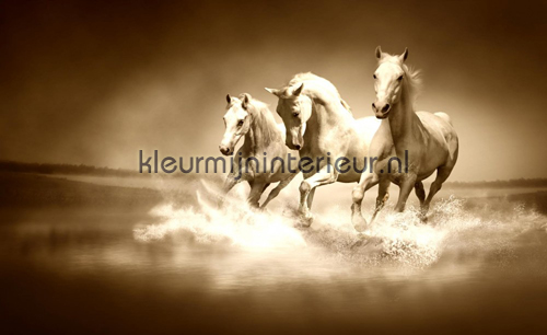 Galloping horses sepia fotobehang dieren Kleurmijninterieur