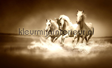 Galloping horses sepia fotomurais Kleurmijninterieur Todas-as-imagens