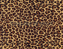 Leopard fotomurais Kleurmijninterieur Todas-as-imagens