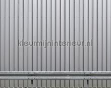 Iron wall silver fototapeten Architects Paper weltkarten 
