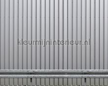 Iron wall silver fototapet Architects Paper AP Digital 4 dd108560