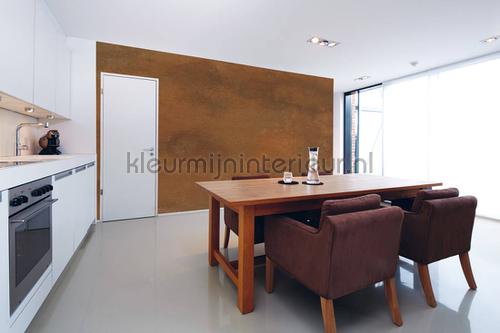 Rusted plate fototapet dd108595 Mural room set photo's Architects Paper