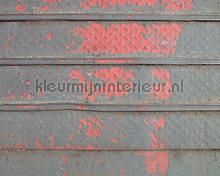 Iron plate 2 fototapeten Architects Paper weltkarten 