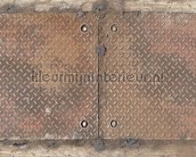Iron plate 3 fototapeten Architects Paper weltkarten 