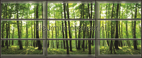 View through window on forest fotobehang Bossen