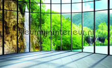 Eden waterfall fototapeten Kleurmijninterieur weltkarten 