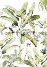 Baby Bananas fotomurais Creative Lab Amsterdam Botanical Collection baby-bananas-200