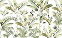 Baby Bananas fotomurais Creative Lab Amsterdam Botanical Collection baby-bananas-400