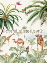 Binti Baby fotomurais Creative Lab Amsterdam Botanical Collection binti-baby-200