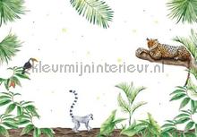 Jungle Tiger fotomurais Creative Lab Amsterdam Botanical Collection jungle-tiger