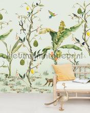 Monkey Life fotomurais Creative Lab Amsterdam Botanical Collection monkey-life